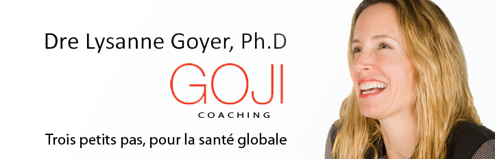 Lysanne Goyer, Goji Coaching